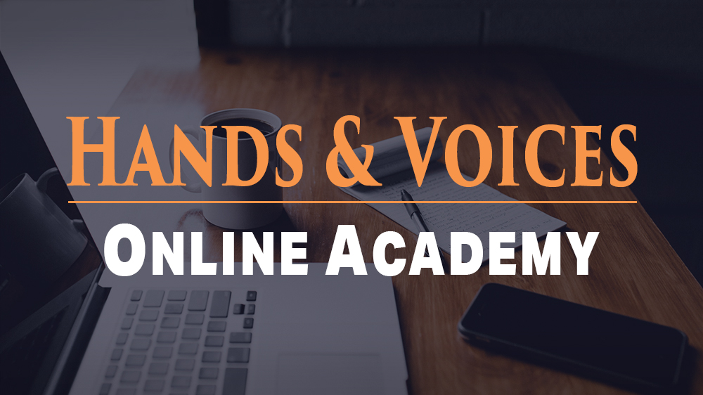 Online Academy  logo